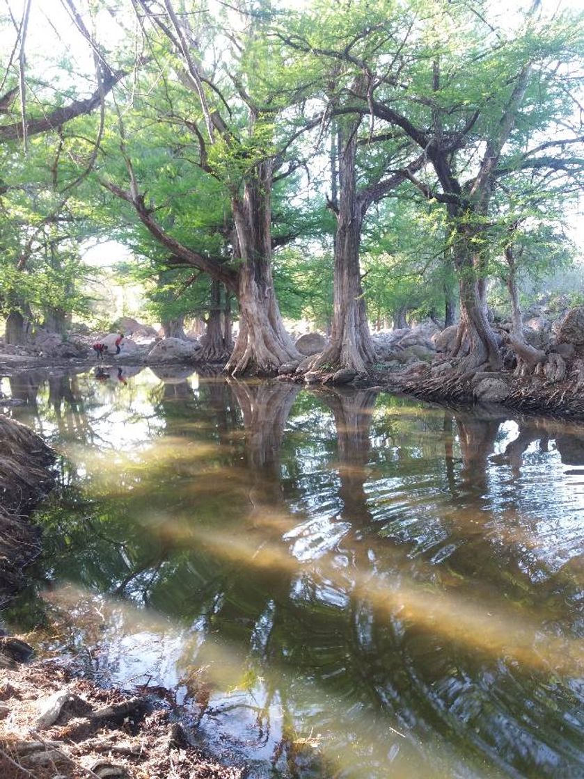 Lugar A Baymena