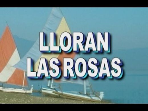 Karaoke Lloran las Rosas Cristian Castro