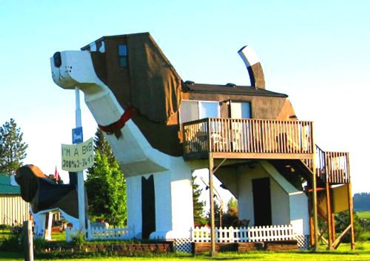 Lugar Dog Bark Park Inn