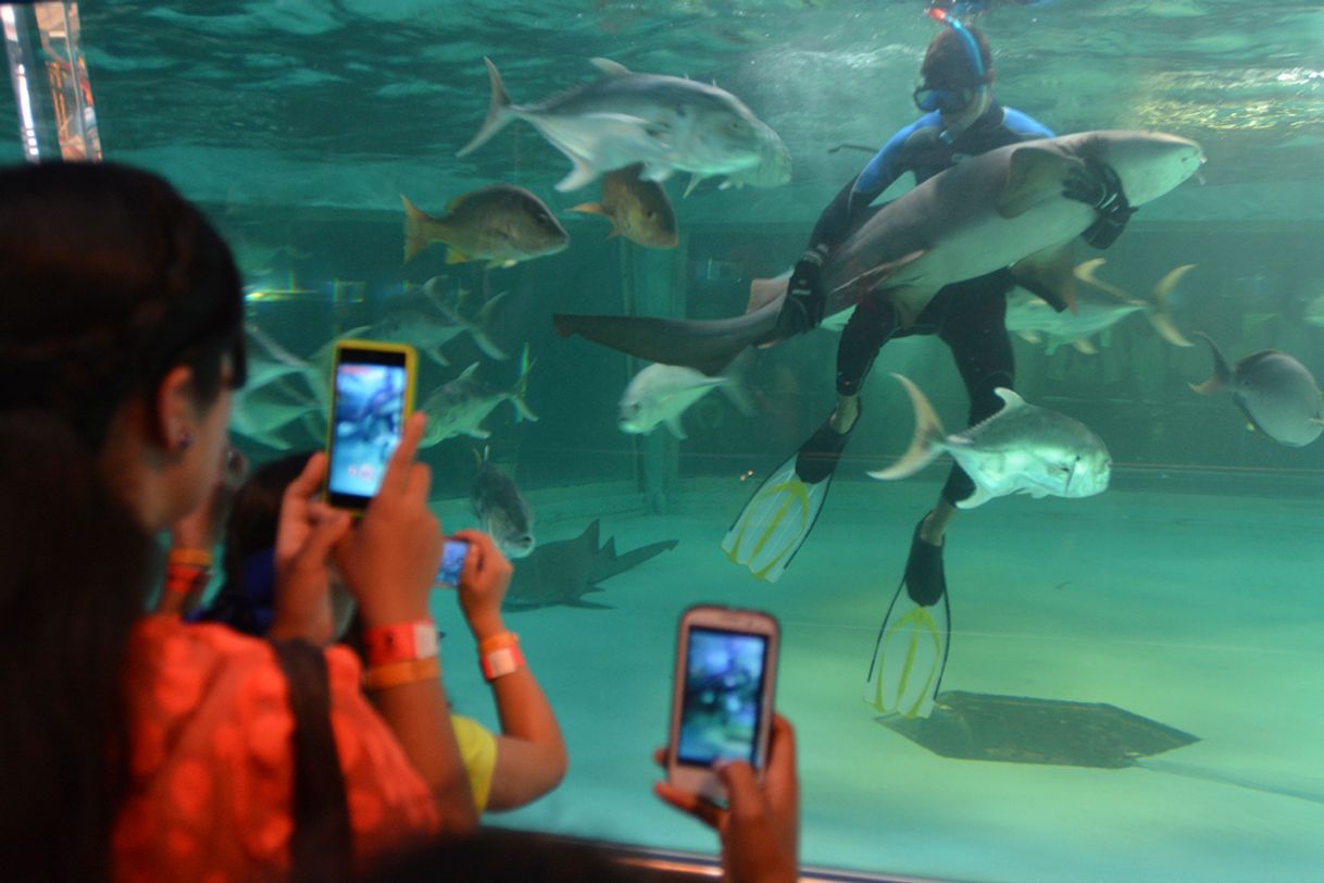 Lugar Acuario Mazatlán