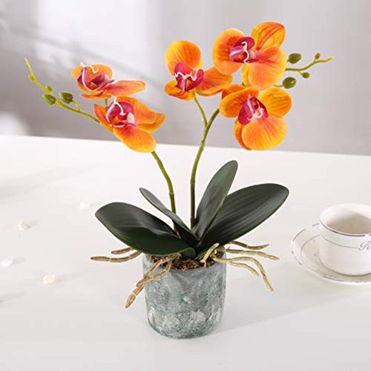 Asvert Bonsai de orquídeas Phalaenopsis de Flores Artificiales Amarillas con jarrón de