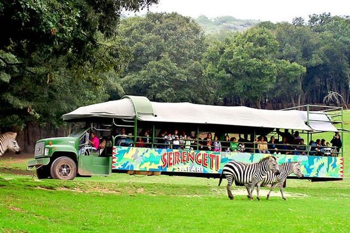 Restaurantes Bioparque Estrella