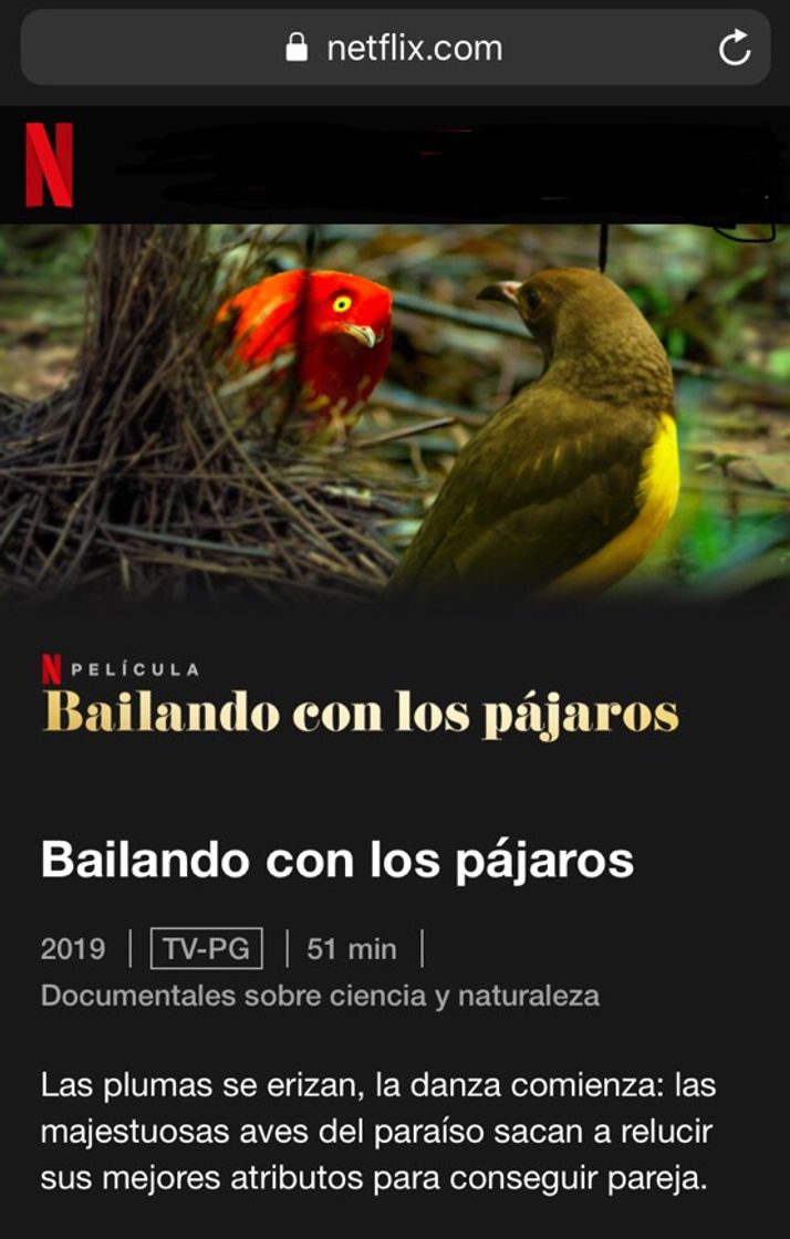 Fashion Bailando con los pájaros