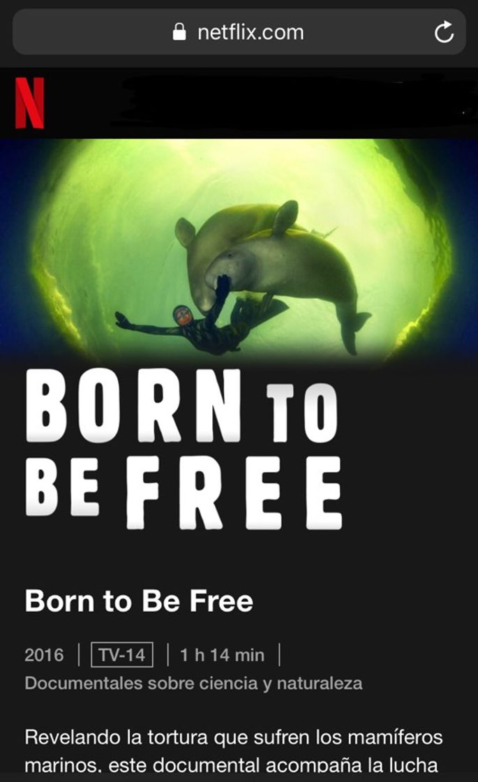 Serie Born to Be Free