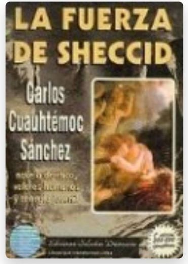 La Fuerza de Sheccid: Una Novela de Amor, Juventud y Etica