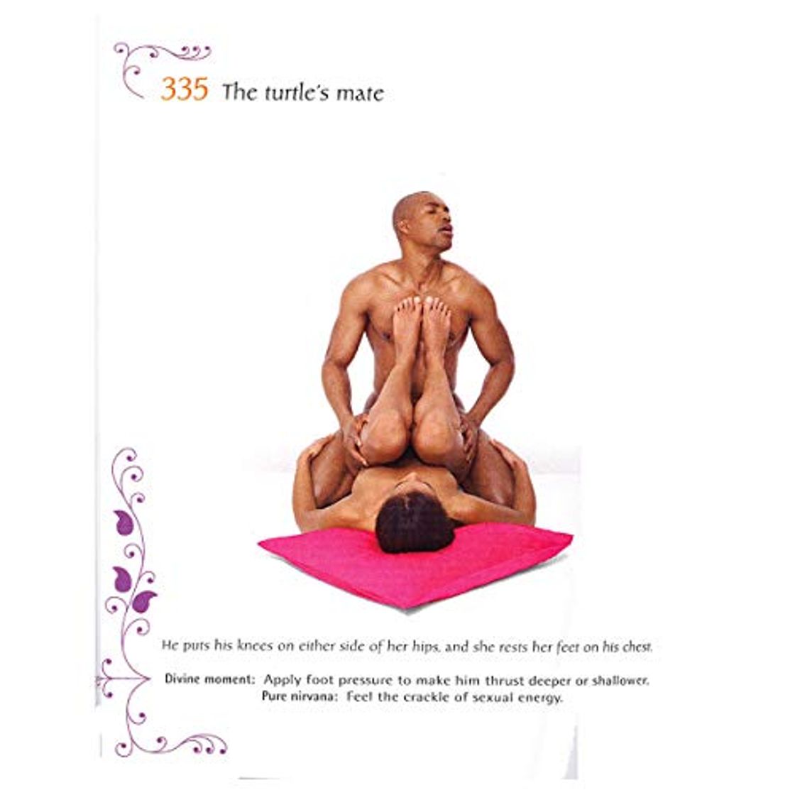 Book Kamasutra 365 days : 1 year positions