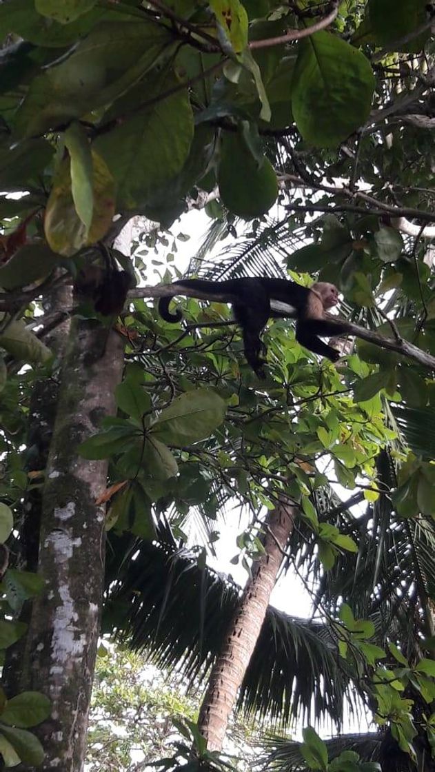 Lugar Manuel Antonio