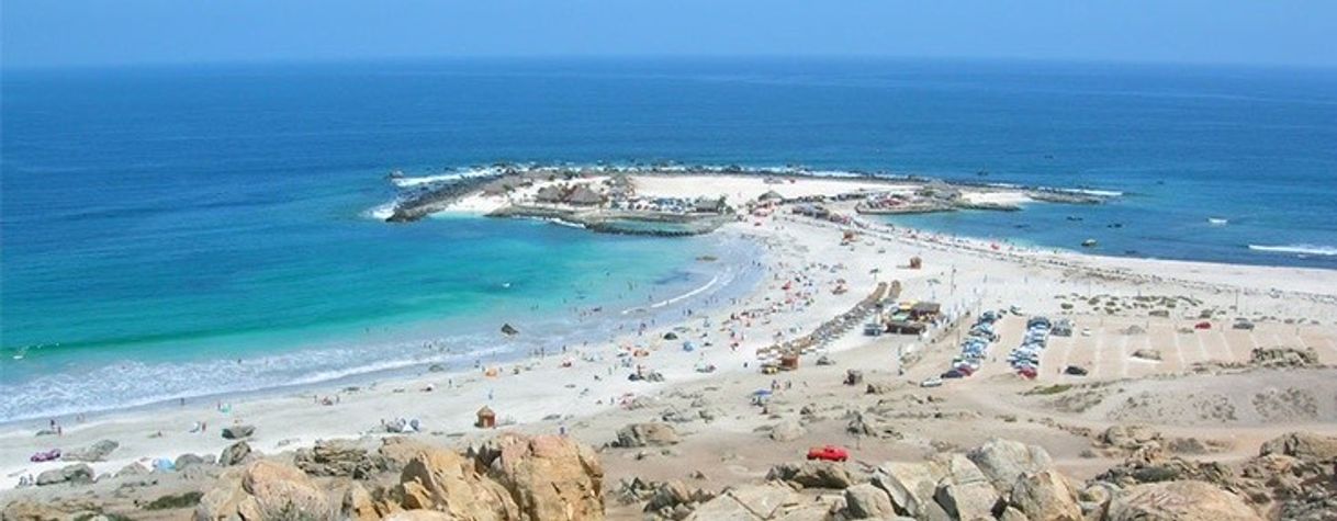 Social Playa Totoralillos Chile