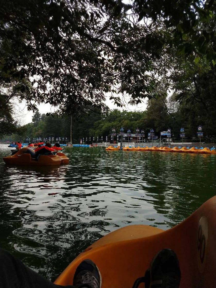 Place Bosque de Chapultepec