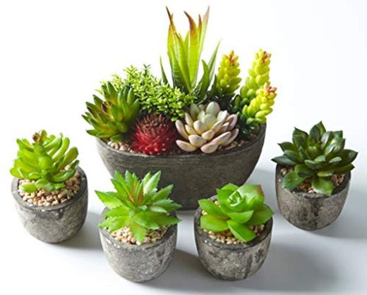 Jobary 5pcs Plantas Suculentas Artificiales Falso Plantas Decorativas Suculentas，Ideal para el Hogar