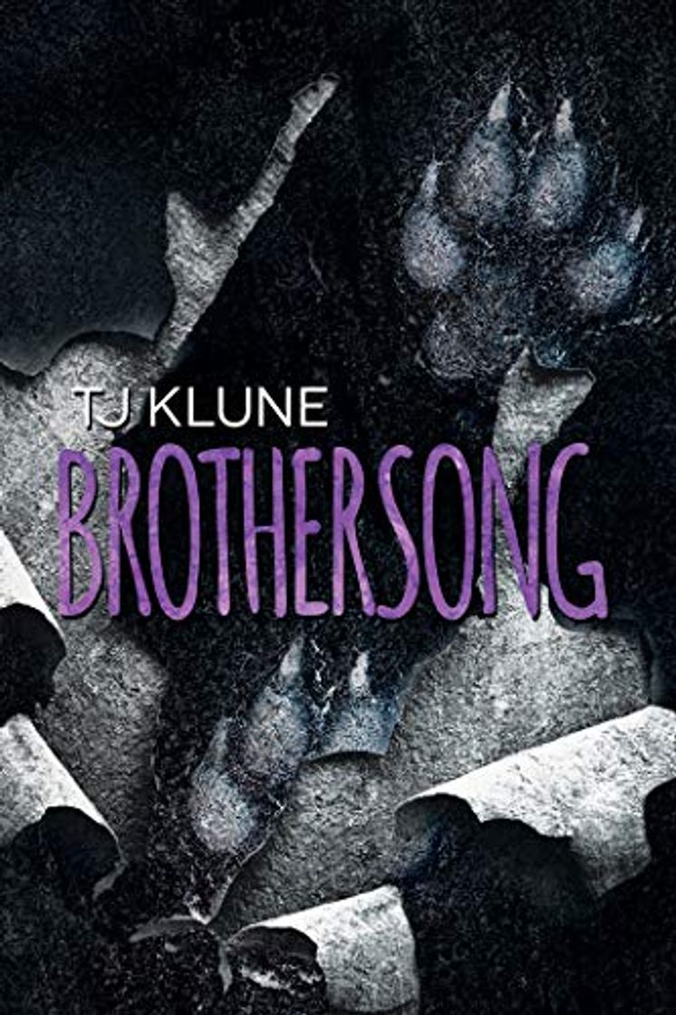 Libro Brothersong