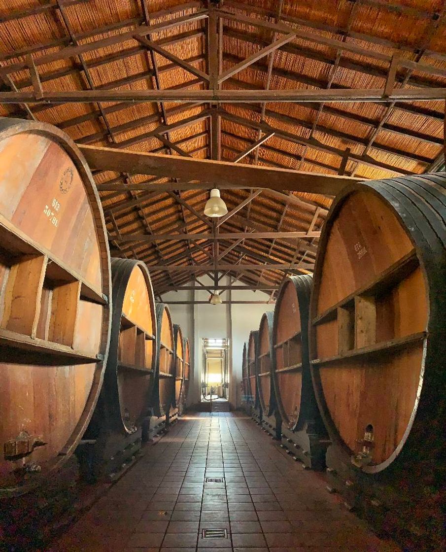 Lugar Bodegas López Mendoza