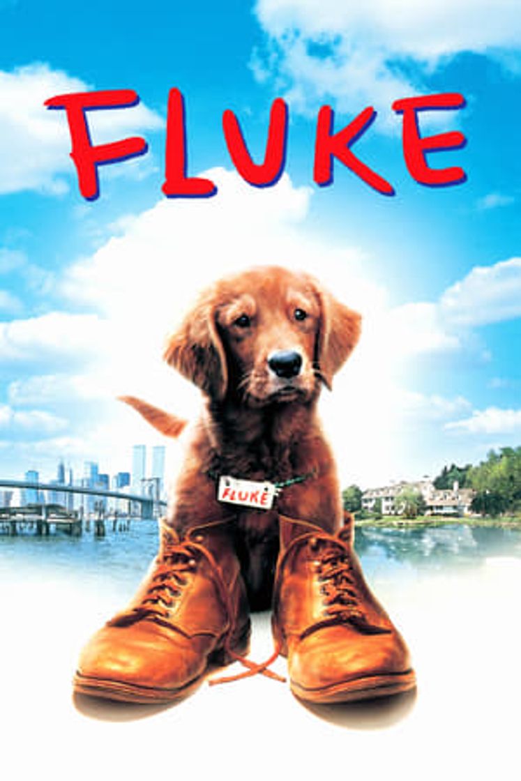 Movie Mi amigo Fluke