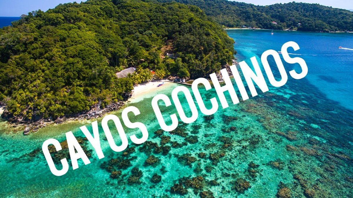 Cayos Cochinos - Honduras 