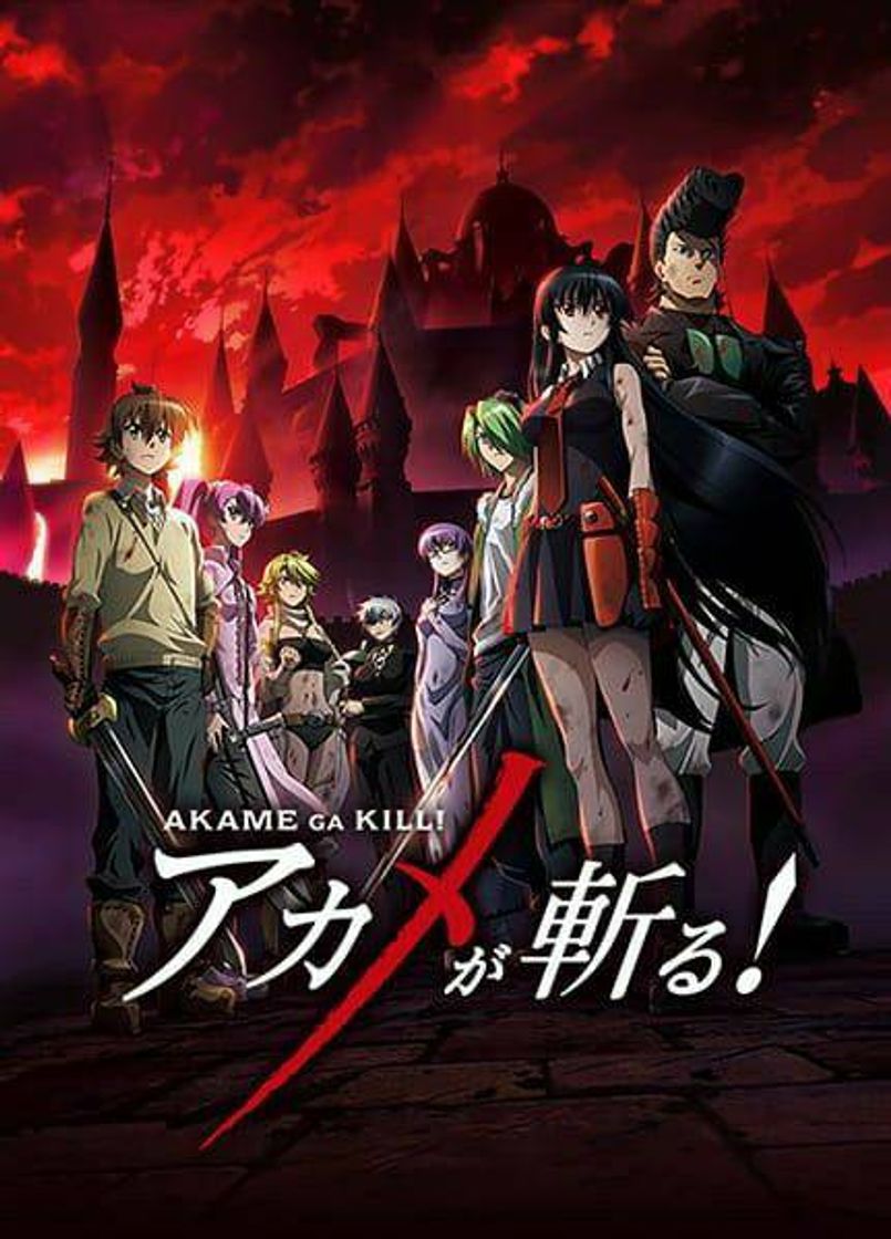 Serie ⚔Akame ga kill🩸