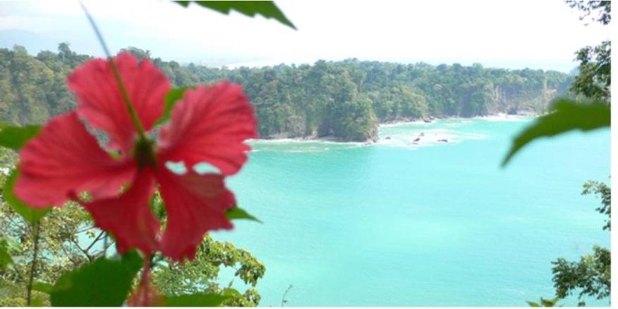 Lugar Manuel Antonio National Park