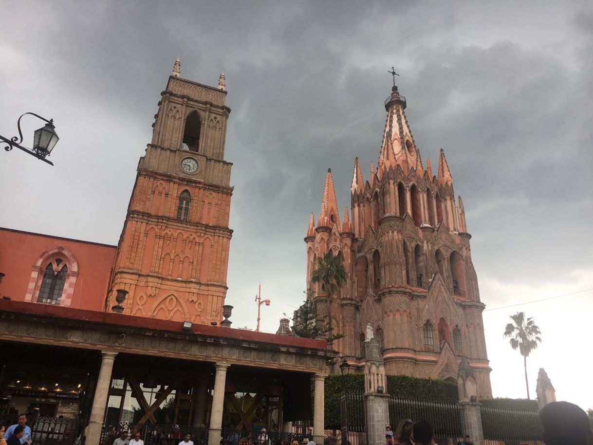 Place San Miguel de Allende