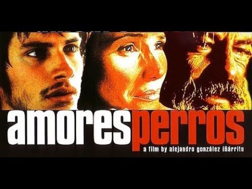 Amores perros triler 