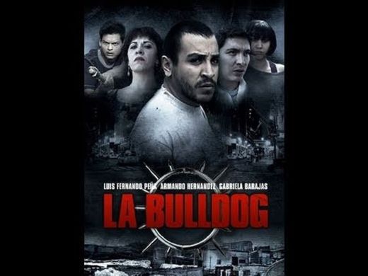 Los hijos de la bulldog triler 