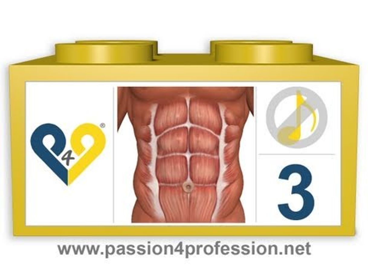 Social Abdominales en 8 minutos nivel 3 (Sin música) - YouTube