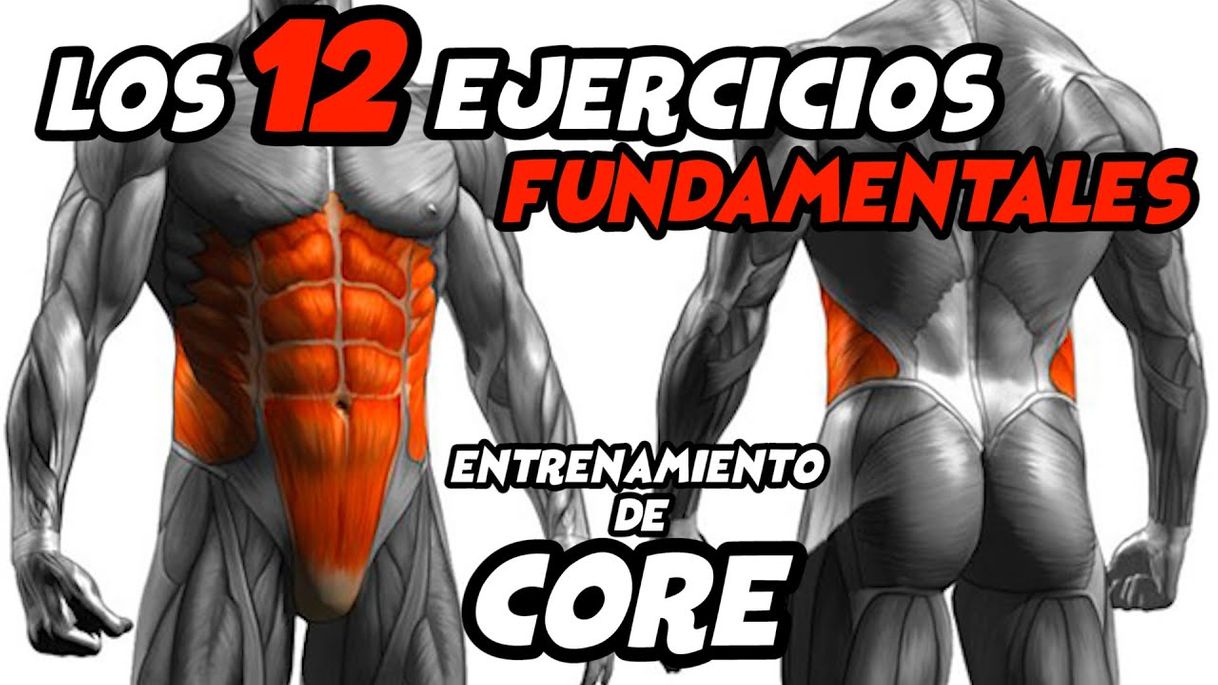 Moda ¡5 ejercicios para core y abdominales sin material brutales! - YouTube