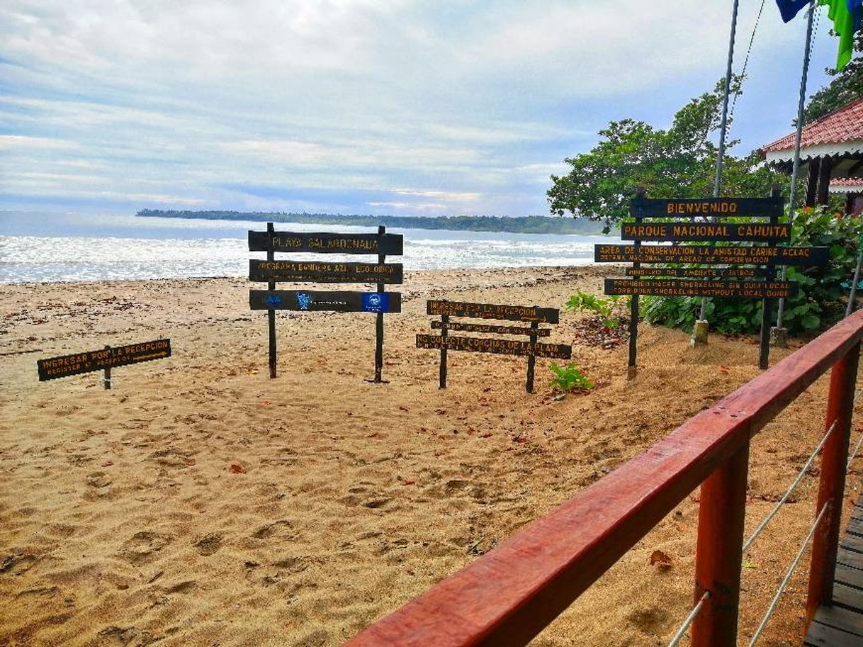 Lugar Parque nacional Cahuita