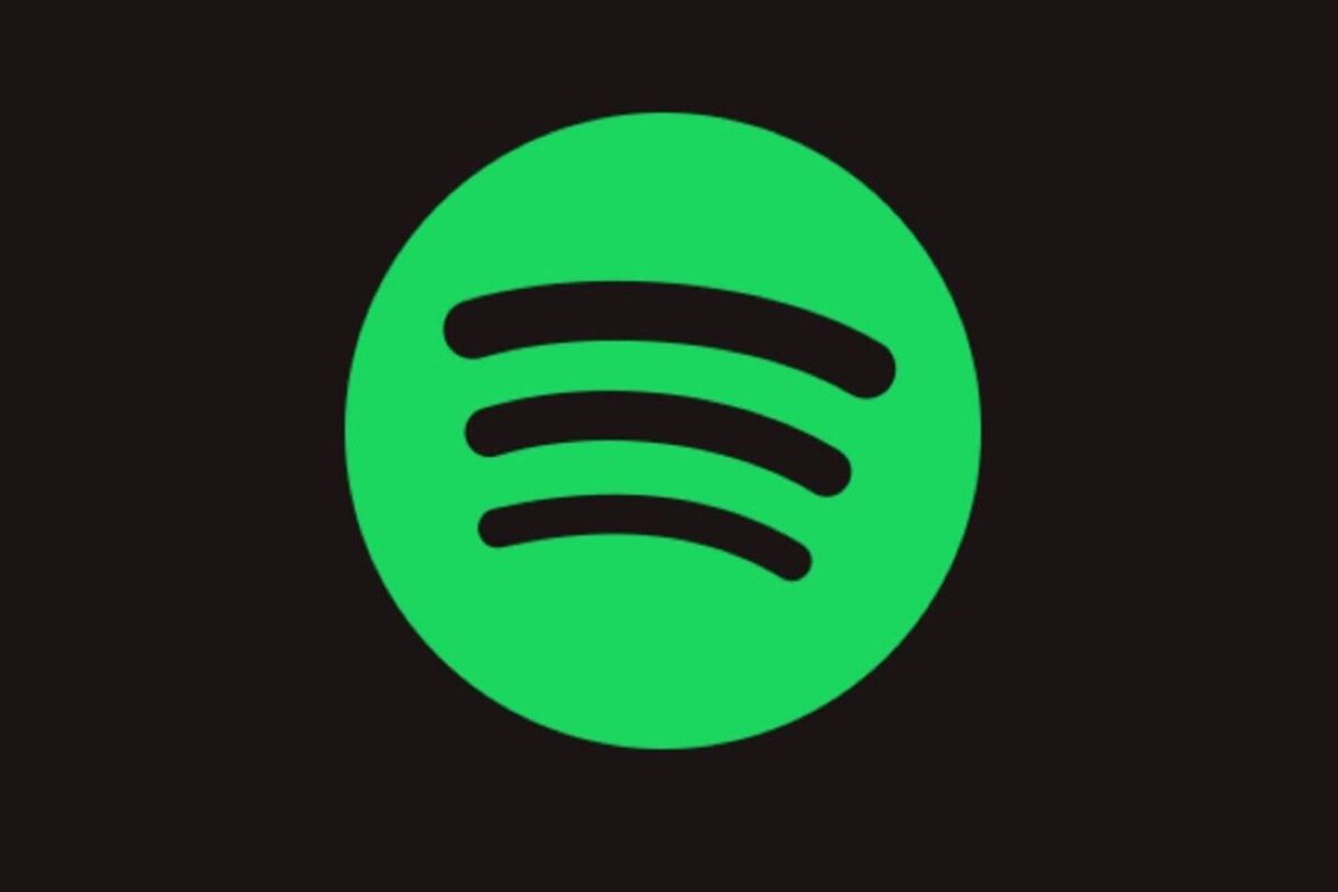 Fashion Spotify 