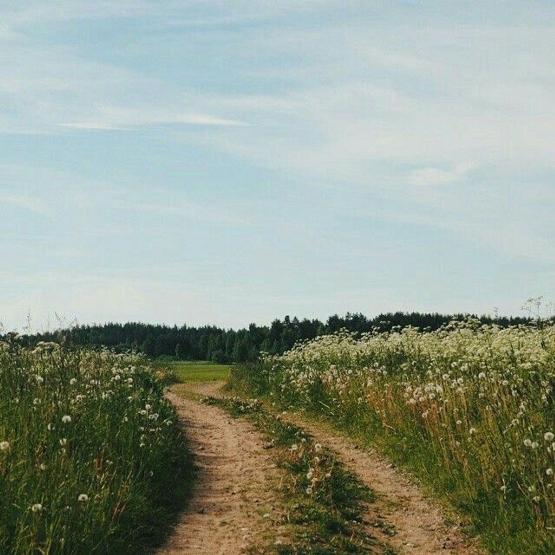 Fashion Countryside Aesthetic 