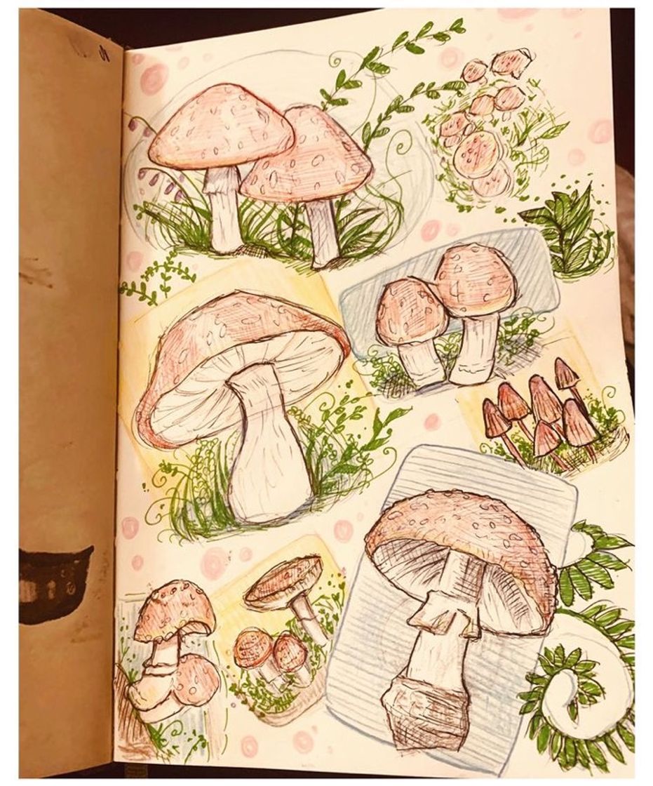 Moda Desenhos 🍄