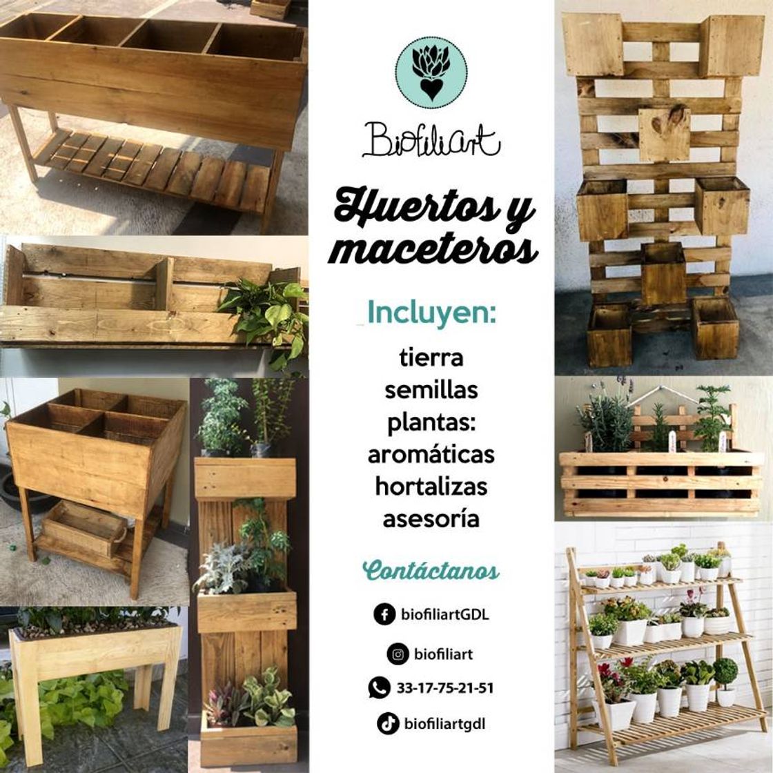 Moda Plantas