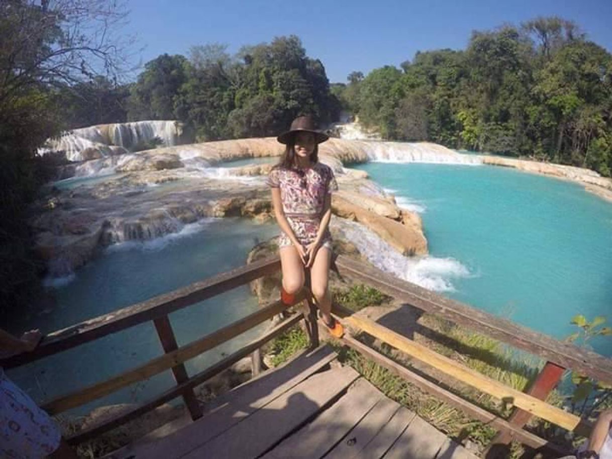 Lugar Cascadas de Agua Azul