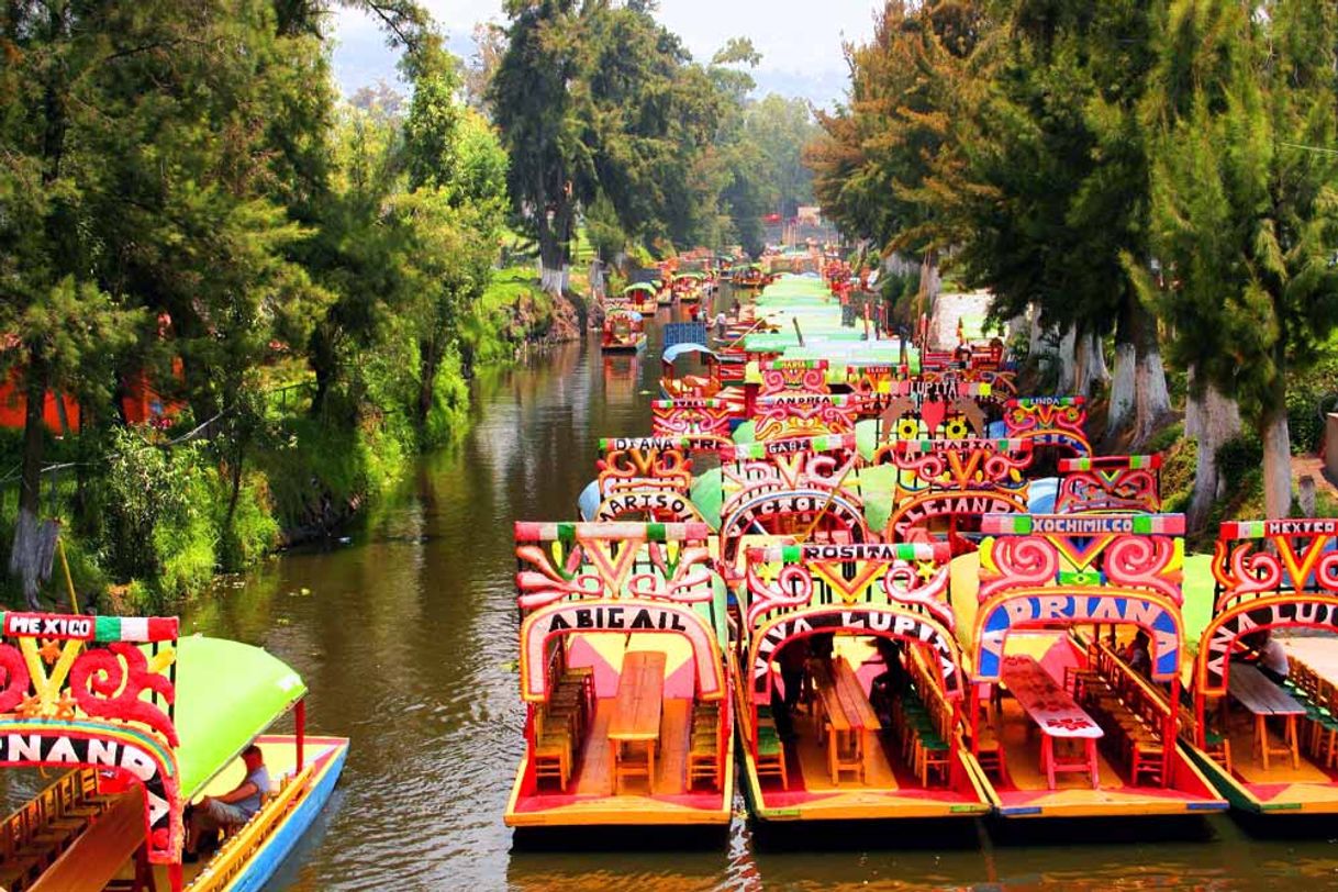 Place Trajineras Xochimilco Mágico