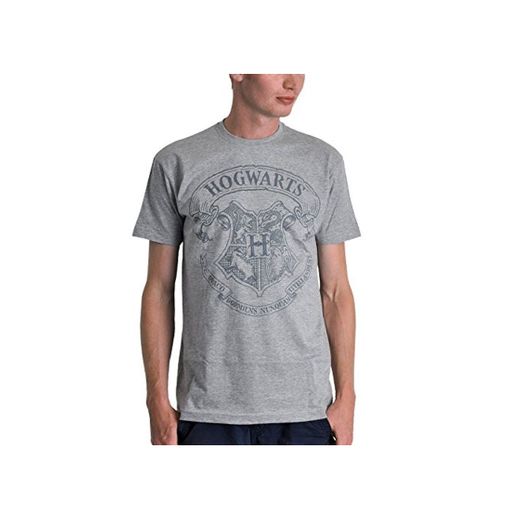 Harry Potter camiseta Hogwarts logotipo emblema gris manchado