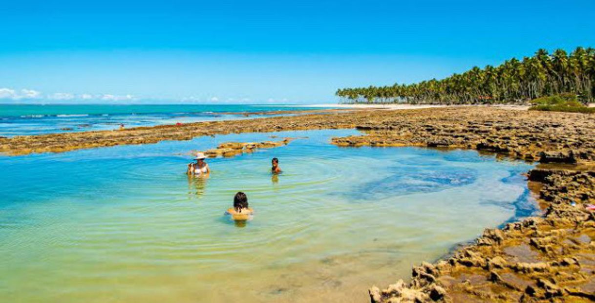 Place Praia dos Carneiros