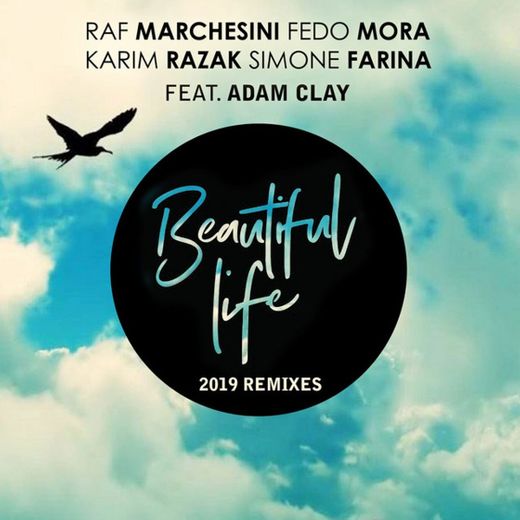 Beautiful Life - Original 2019 Rework