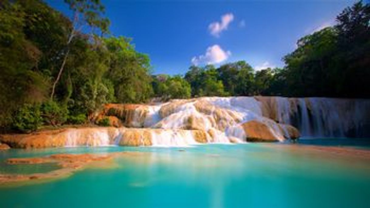 Lugar Cascadas Agua Azul