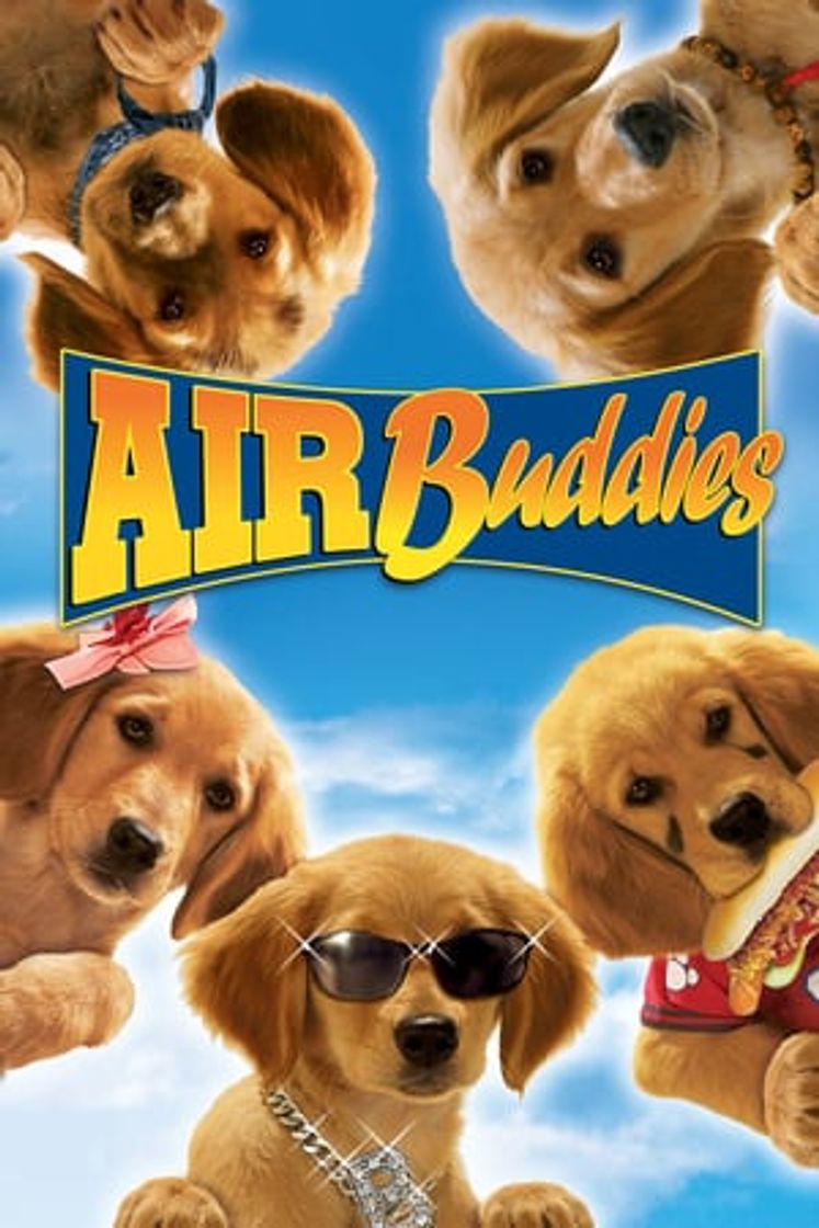 Película Air Buddies