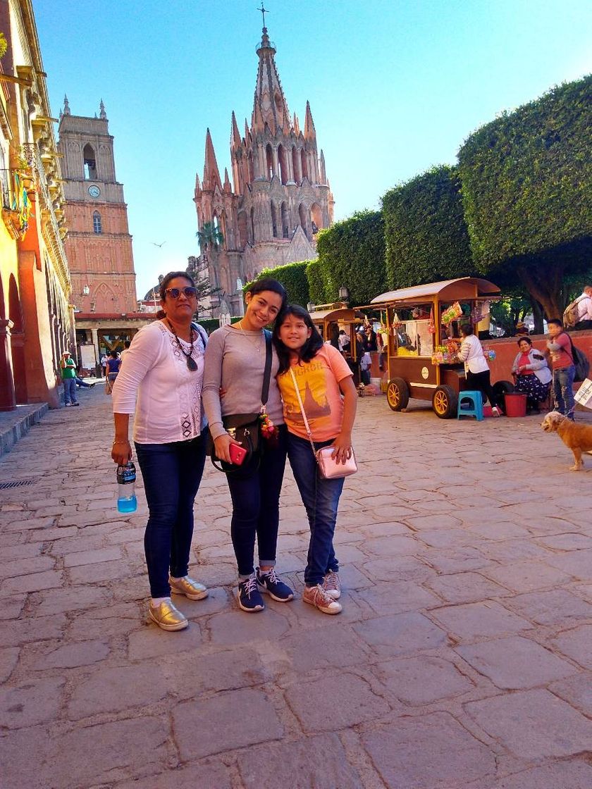 Place San Miguel de Allende