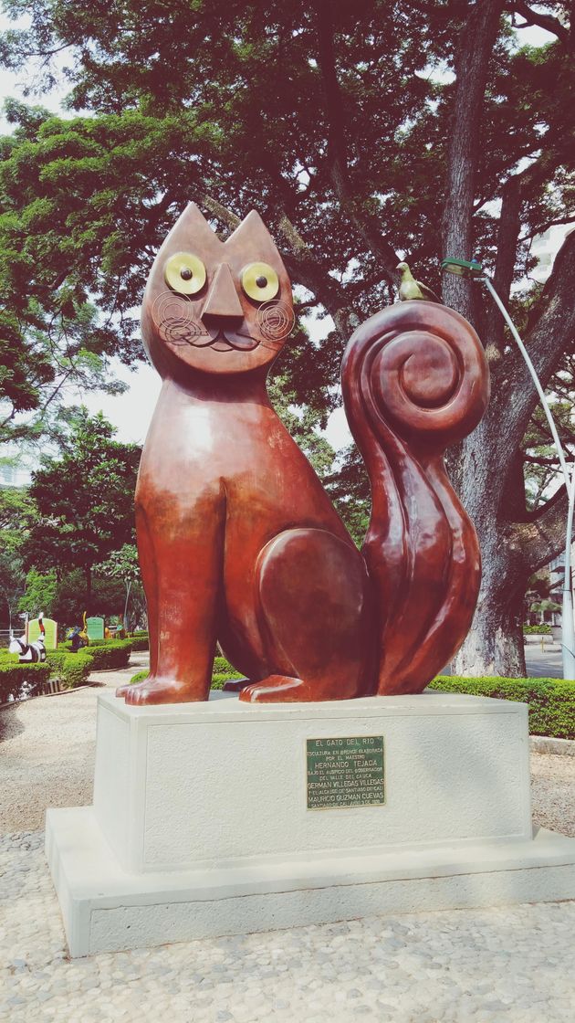 Place Parque del Gato