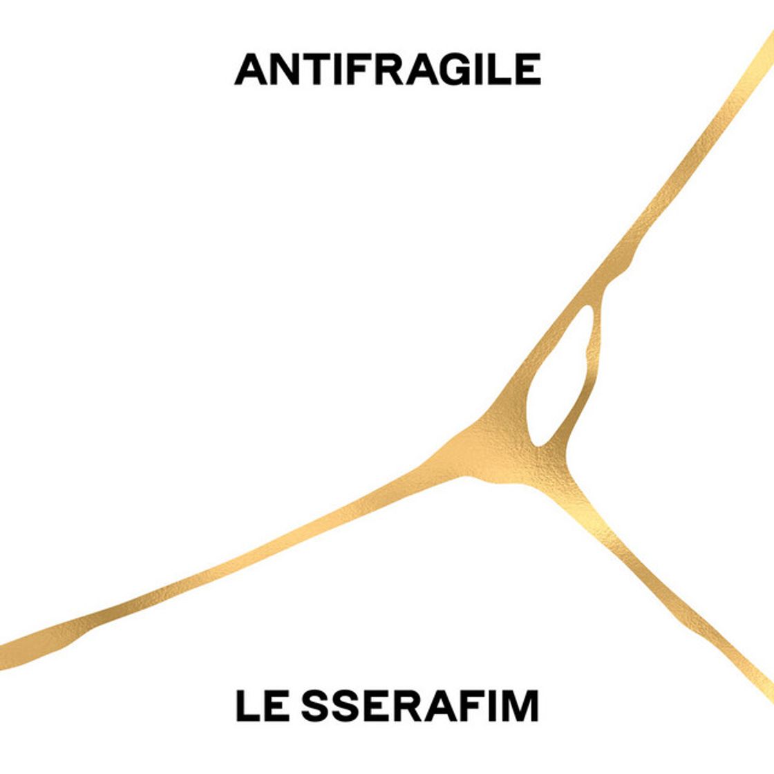 Canción ANTIFRAGILE