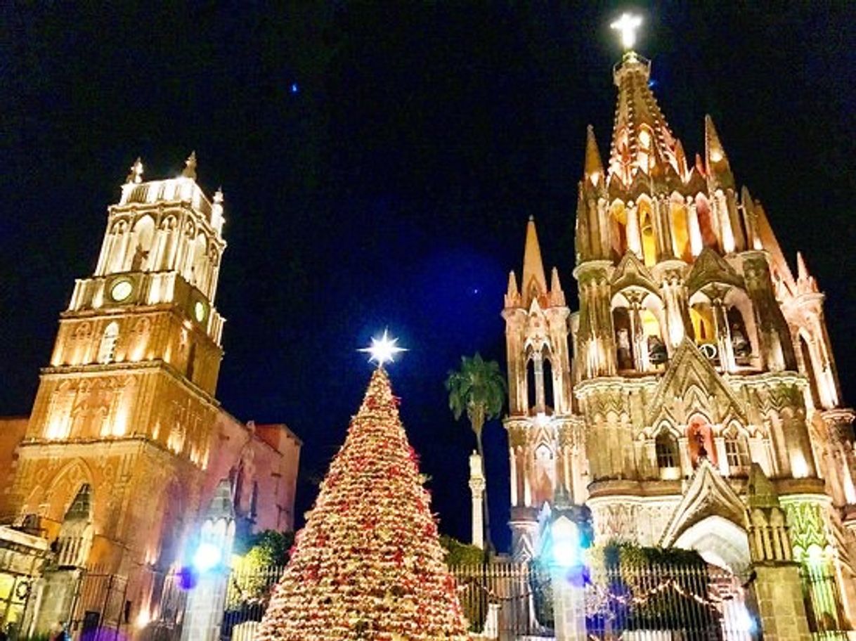 Lugar San Miguel de Allende