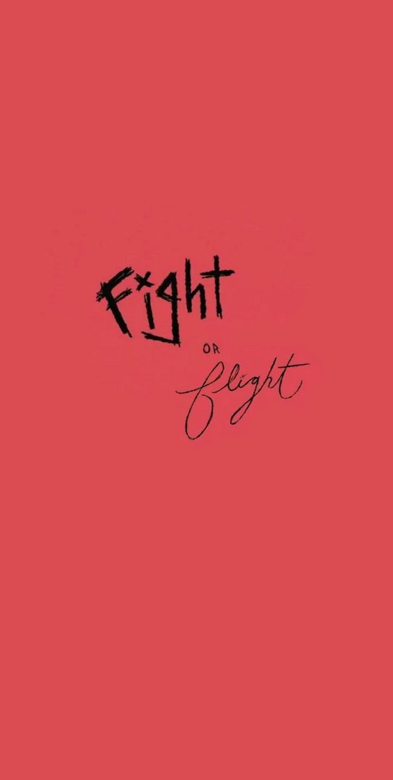 Canción Fight or Flight