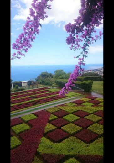 Jardín Botánico de Madeira