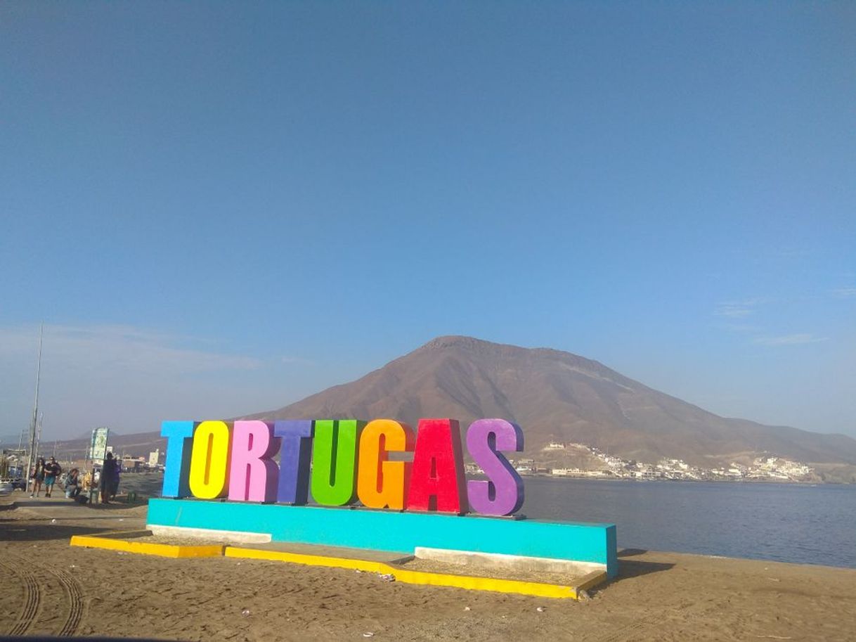 Lugar Tortugas