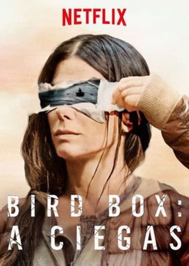 Bird Box