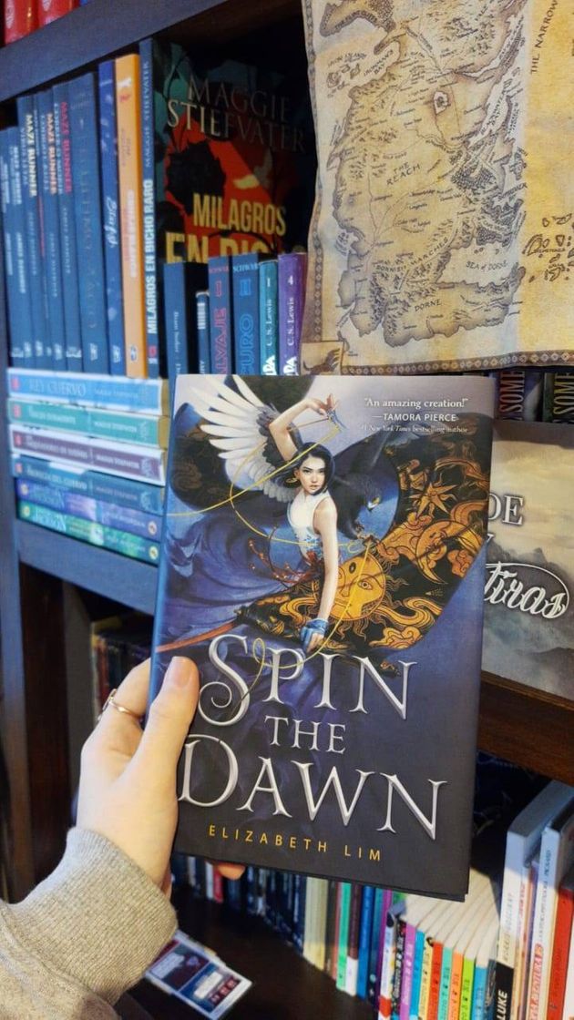 Book Spin the Dawn