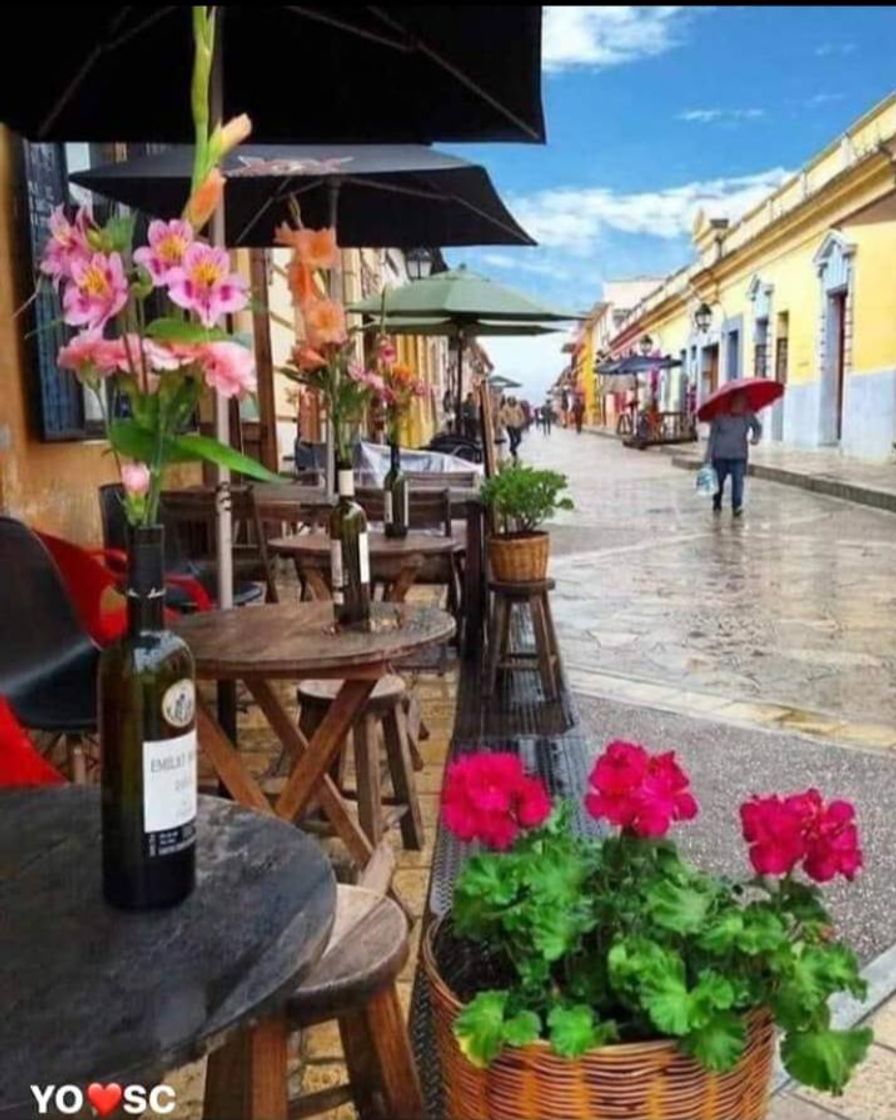 Place San Cristóbal de las Casas