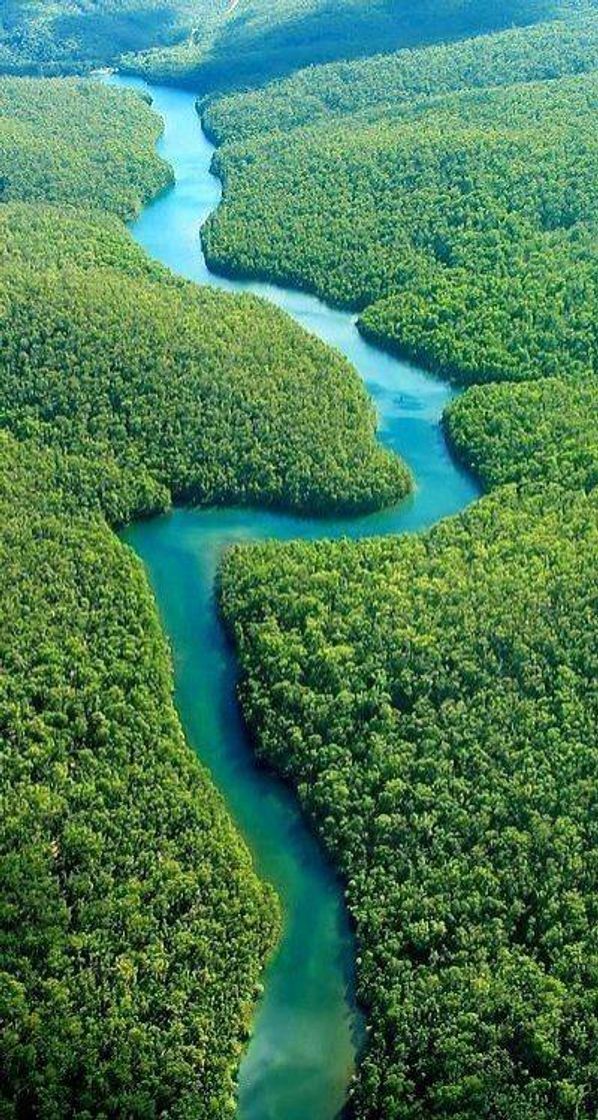 Place Amazonia