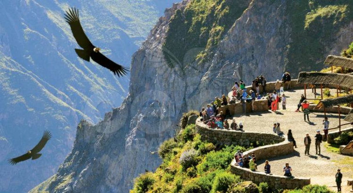 Place Cañón del Colca