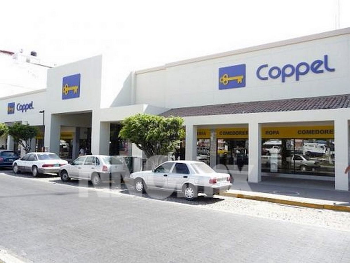 Lugar Coppel Palmas